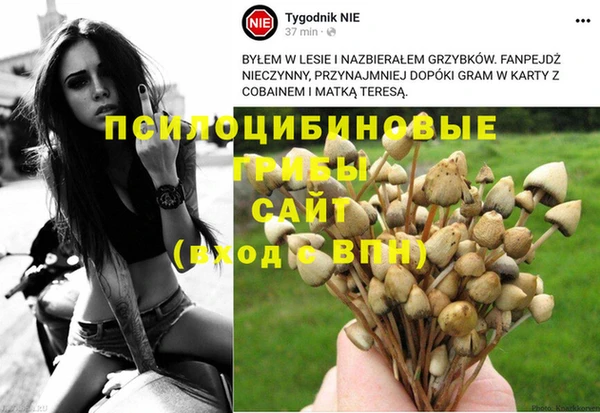 ешки Абинск
