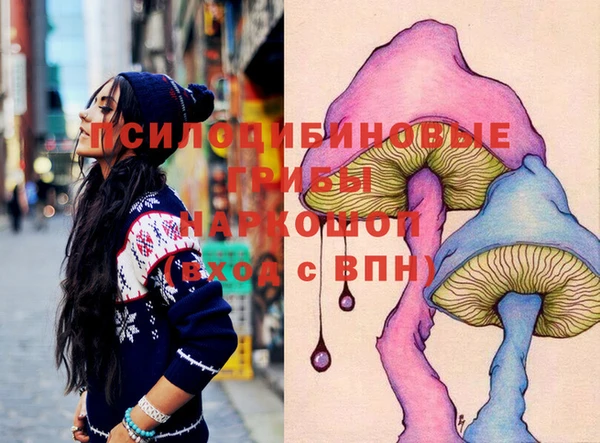 ECSTASY Алексин