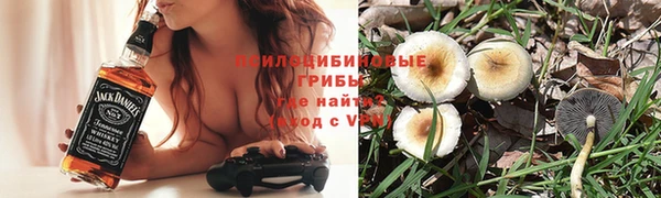PSILOCYBIN Абдулино