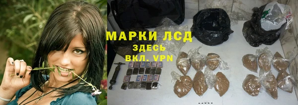 PSILOCYBIN Абдулино